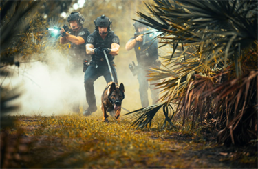 Officers with K-9 german shepard searching through wooded area