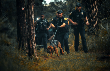 Officers with K-9 searching the area