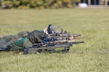 swat team aiming in grass